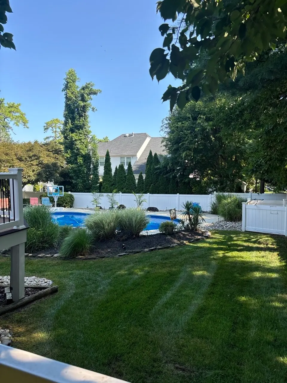 Backyard pool surrounded by manicured lawn and landscaping