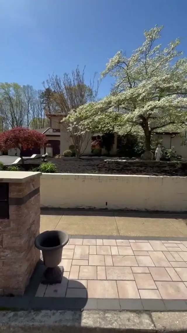 Video: Finished landscape design