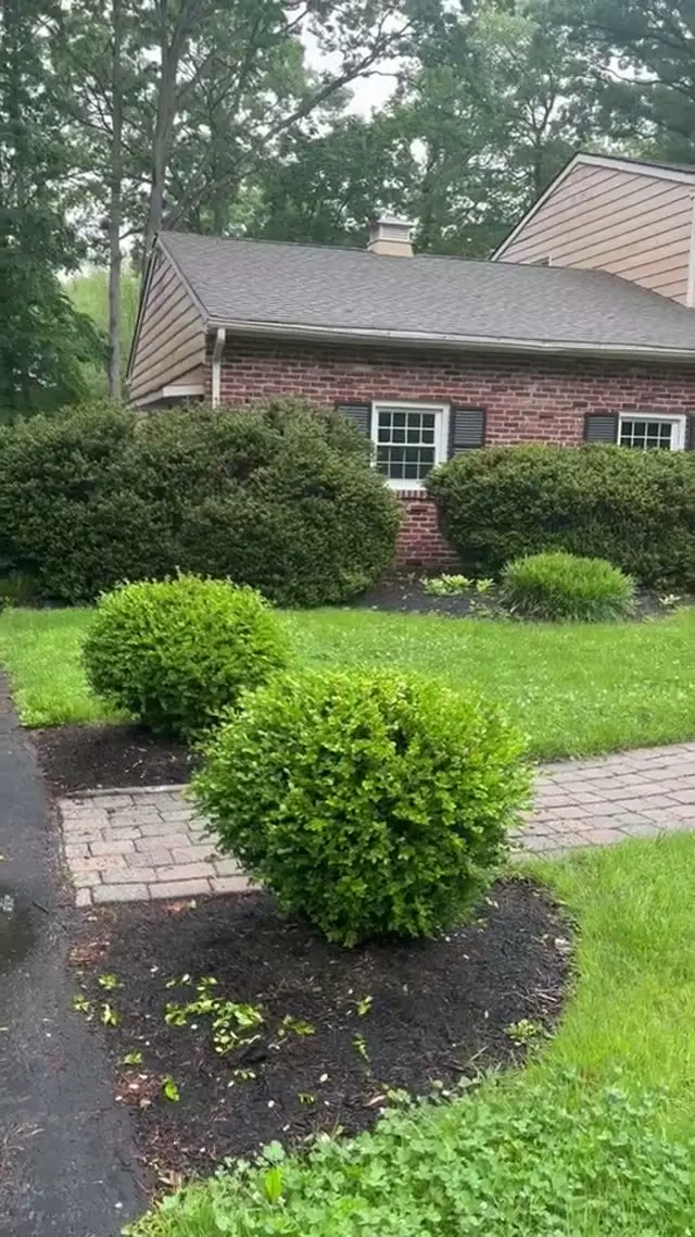 Video: Paver walkway & trimmed hedges